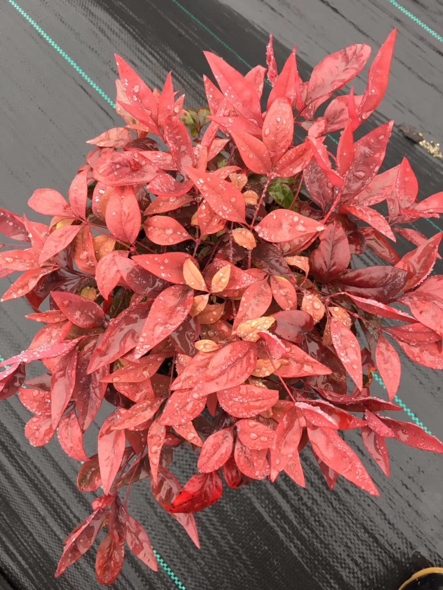 關(guān)于品質(zhì)，我們“用圖”說(shuō)話