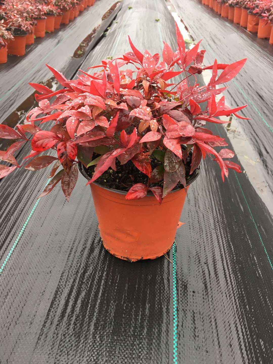 關(guān)于品質(zhì)，我們“用圖”說(shuō)話