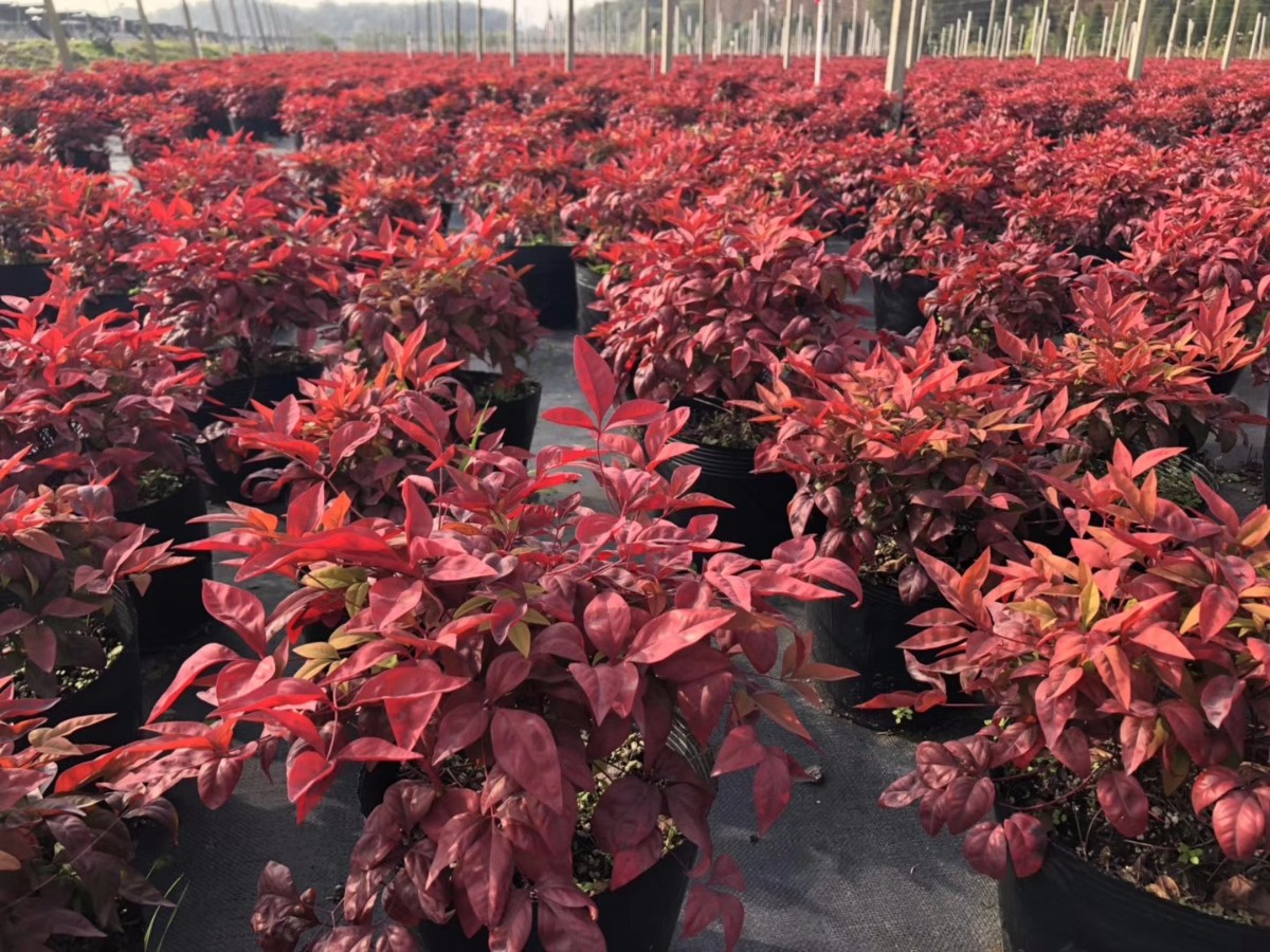 關(guān)于品質(zhì)，我們“用圖”說(shuō)話